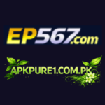 EP567 Game